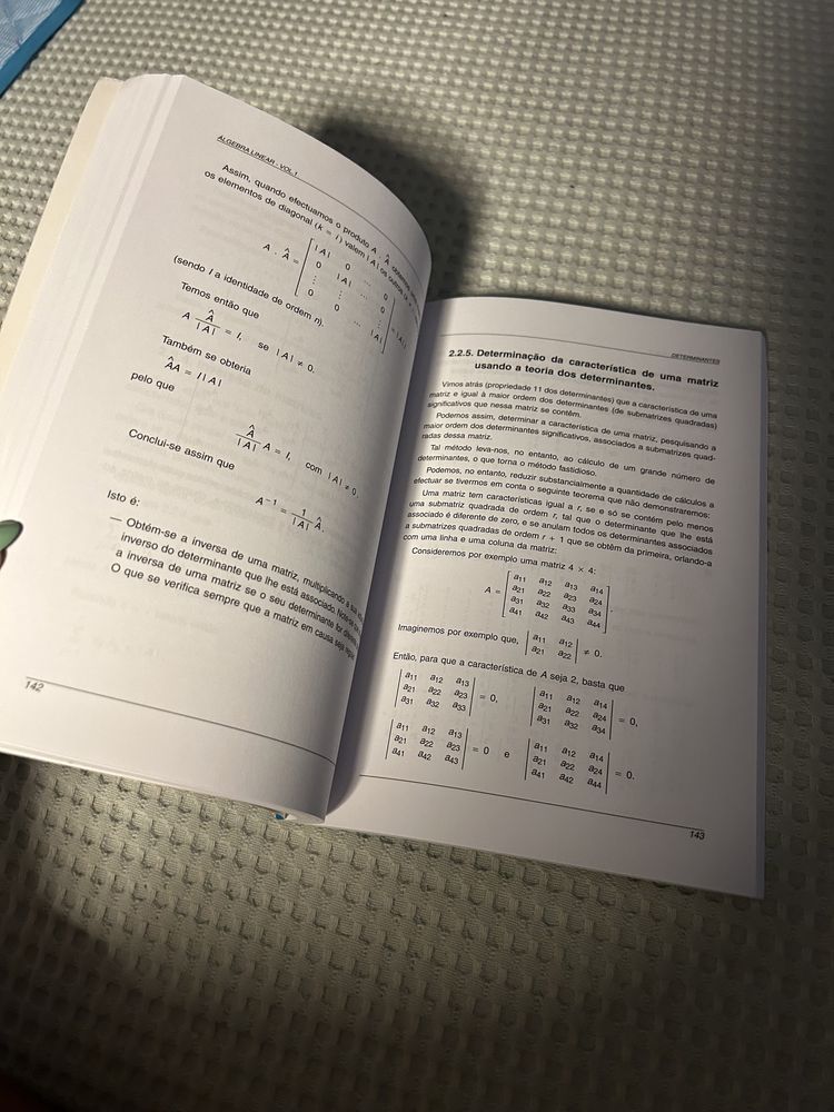 Livro Álgebra linear - matrizes e determinantes - vol 1