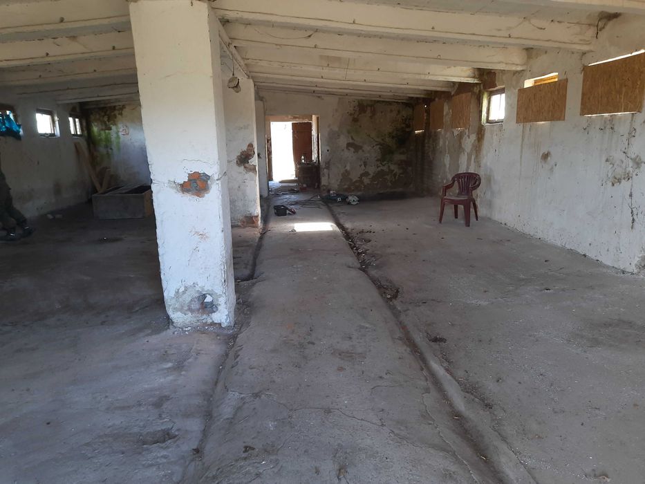 Magazyn, Hala,Budynek, Pieczarkarnia 162m² dzialka 22ar