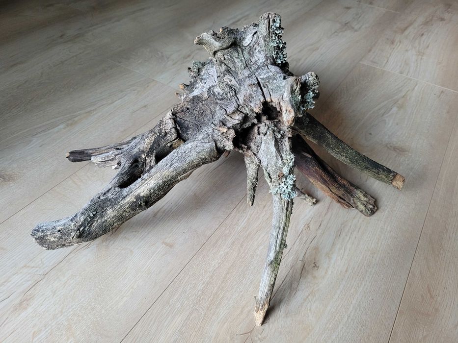 naturalny duży korzeń do akwarium terrarium dł. 42 cm