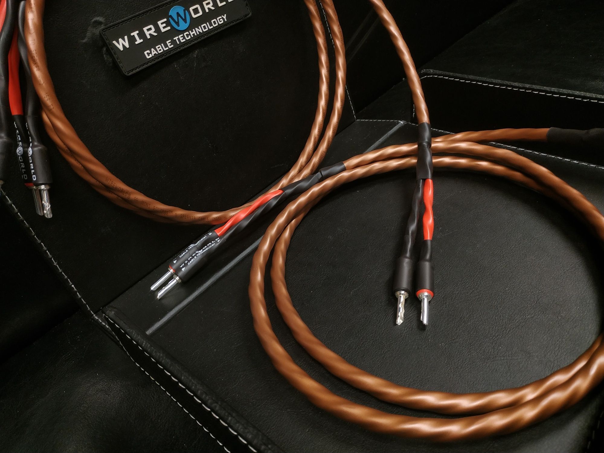 WireWorld Mini Eclipse 10 Kable głośnikowe konfekcja Trans Audio Hi-Fi