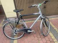 Rower gazelle exclusier