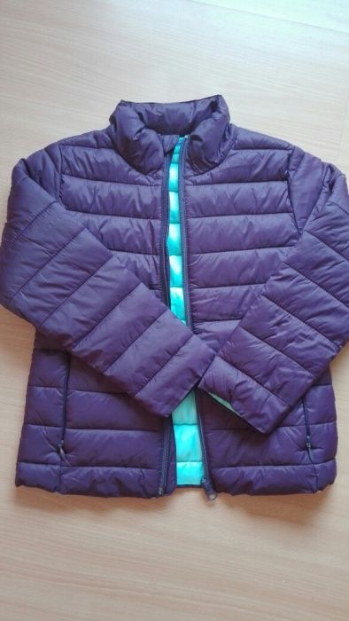 Kurteczka fioletowa