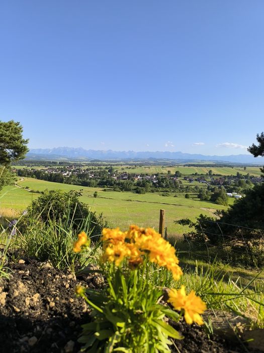 Wypożyczalnia rowerów elektrycznych już od 150 zł