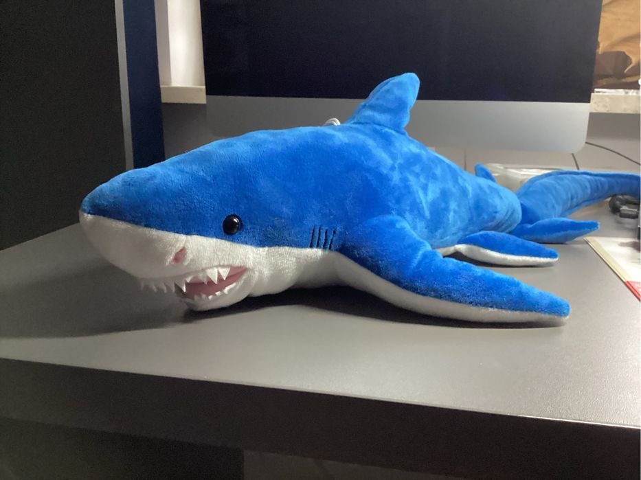 Pluszowy żarłacz biały