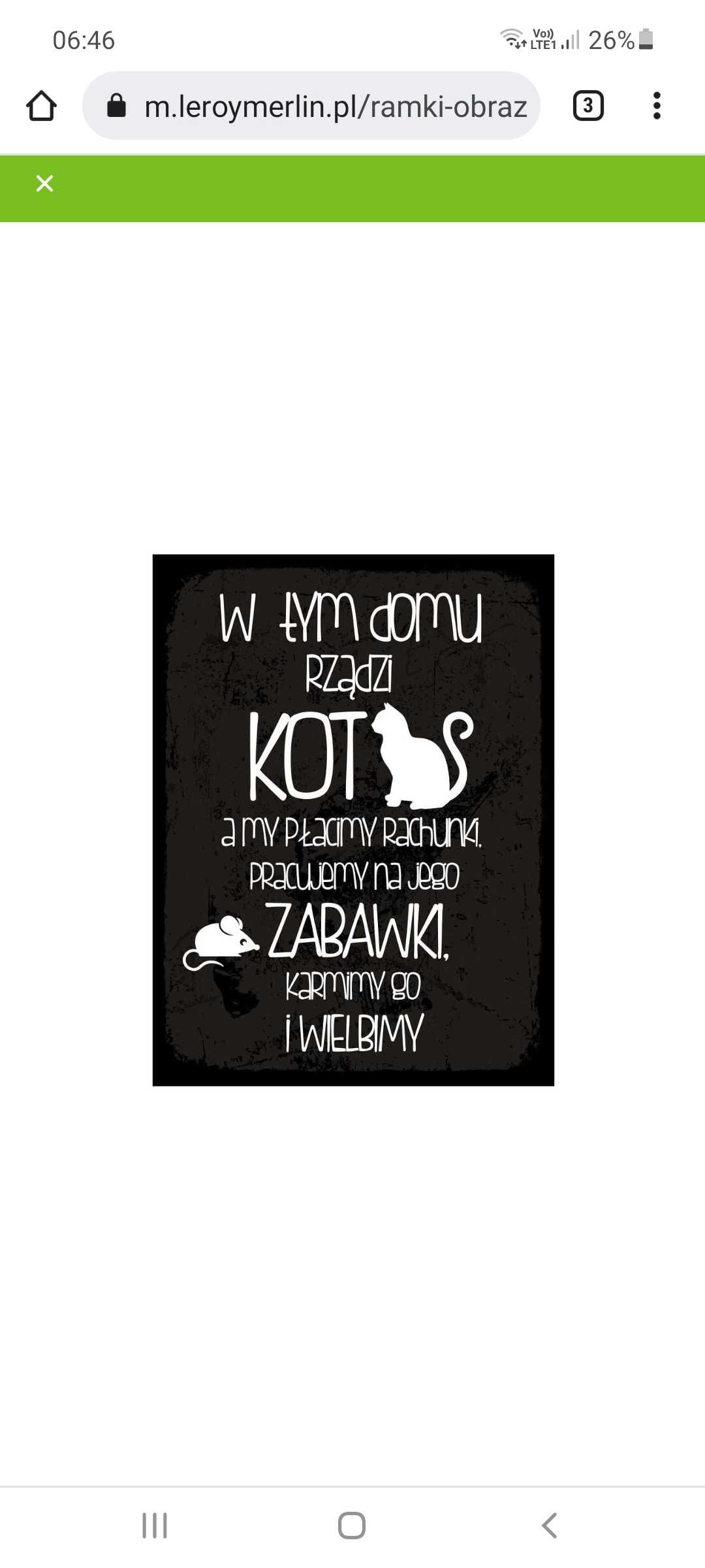 Obraz  kot 30x40