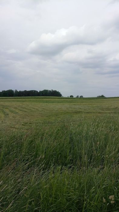 Działka budowlana 17 arów Giżycko