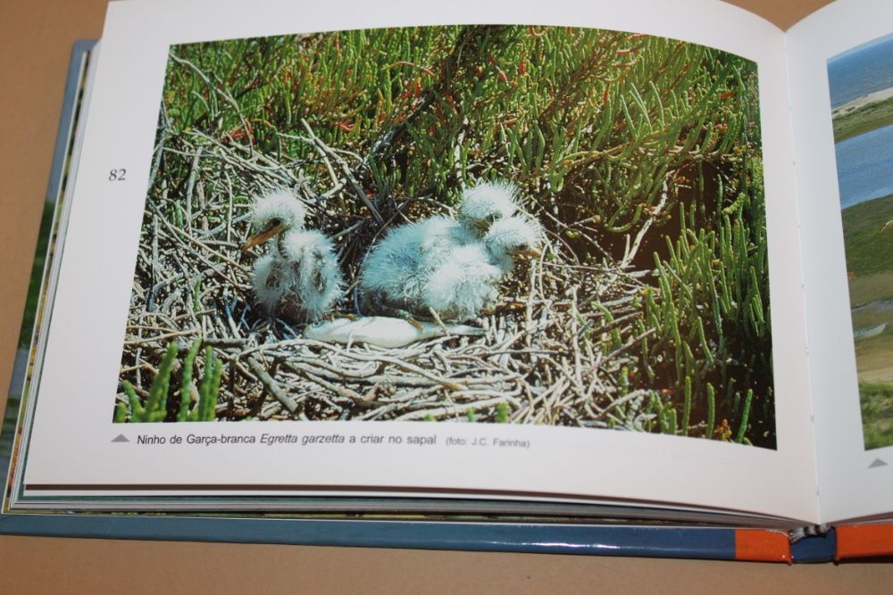 Áreas Protegidas Em Zonas Húmidas/João C. Farinha