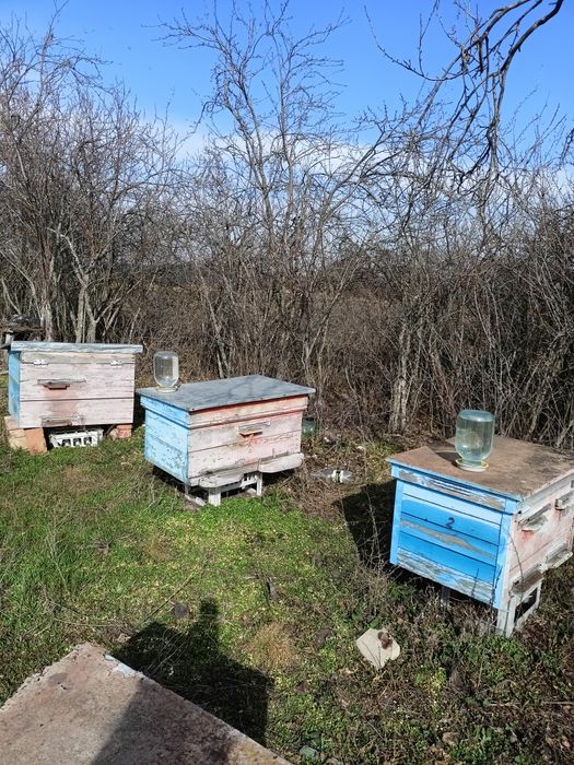 Продам вулики лежаки з бджолосімьями
