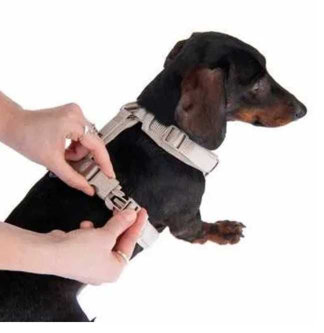 Komfortowe szelki dla psa Nomad Tales Blush kolor taupe S