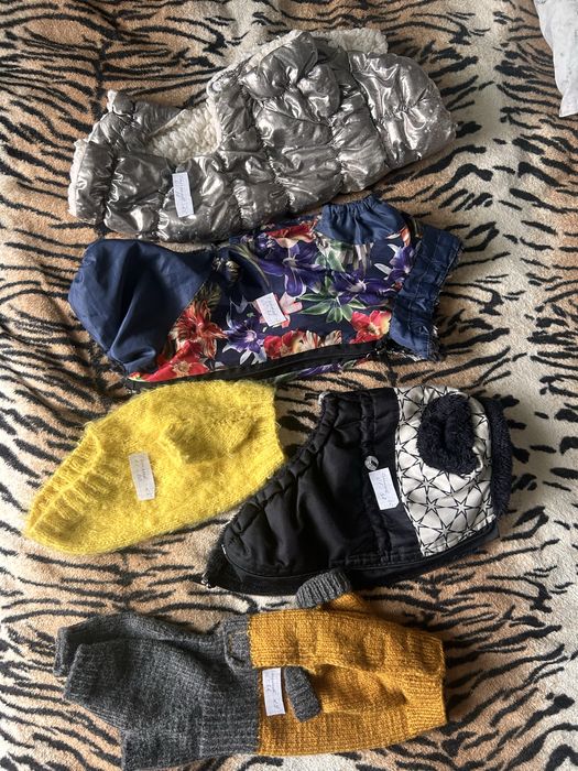 Одежда для собачки