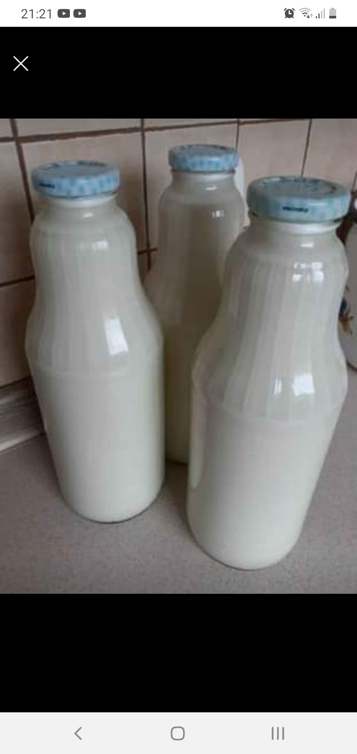 Mleko od kóz anglonubijskich