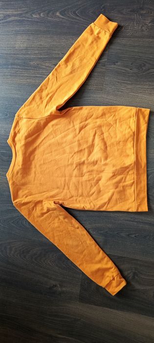 Bluza pomarańczowa dla chłopca dinosaur