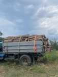 Дрова різних порід