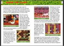 Jogo + revista BATTLETOADS in Battlemaniacs SNES Super Nintendo