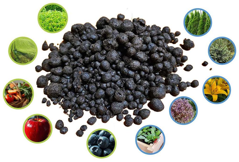 OBORNIK GRANULOWANY Nawóz Organiczny EKO Naturalny 20l NOWOŚĆ