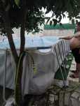 Piscina comprida - URGENTE!