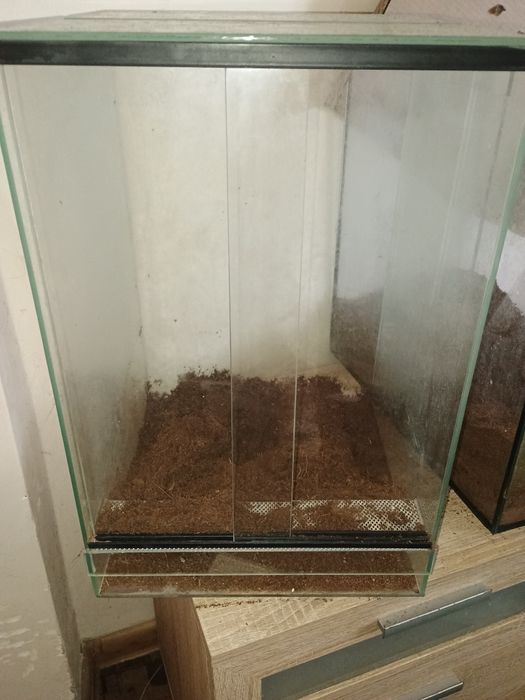 Terrarium dla zwierzaka