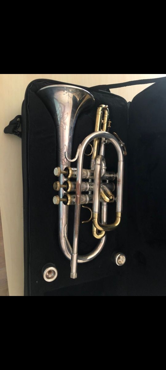 Cornet Berkeley Sib .470