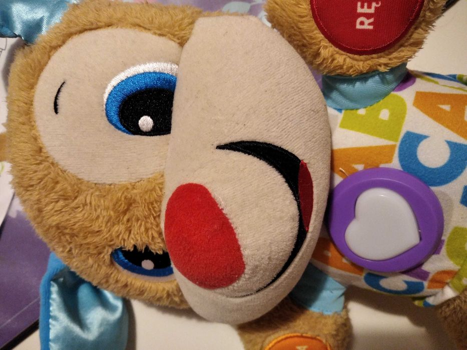 Miś uczniaczek Fisher Price interaktywny