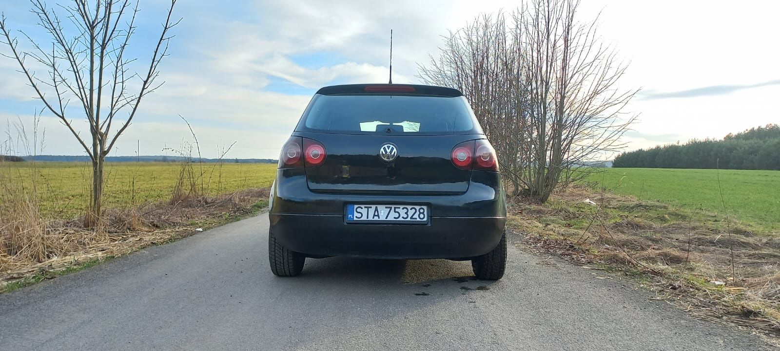 Volkswagen Golf V