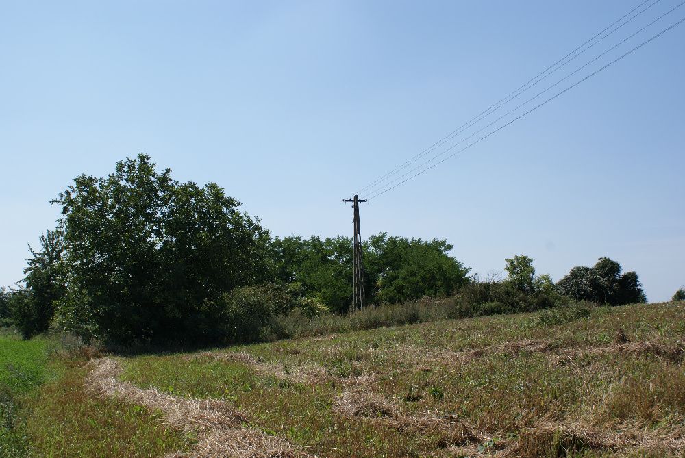 Działka 40 ar budowlana, Sierakowy, Topólka, Kamieńczyk, Emilianowo