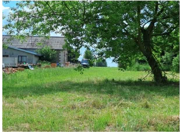 Syndyk sprzeda nieruchomość gruntową Podciernie Gmina Cegłów