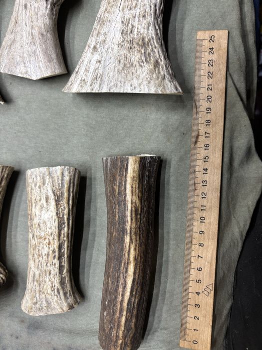 Масивні заготовки рог