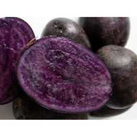 Картопля фіолетова сорту "Солоха" | Картошка фиолетовая