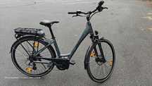 Rower elektryczny Triumph Bird Plus, Bosch gen3, 320km NÓWKA