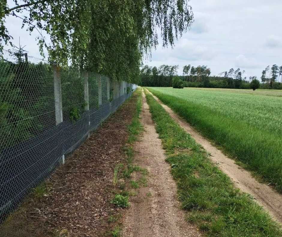 Sprzedam działkę 3200 m2 rekreacyjną blisko lasu- 80 km od Warszawy!