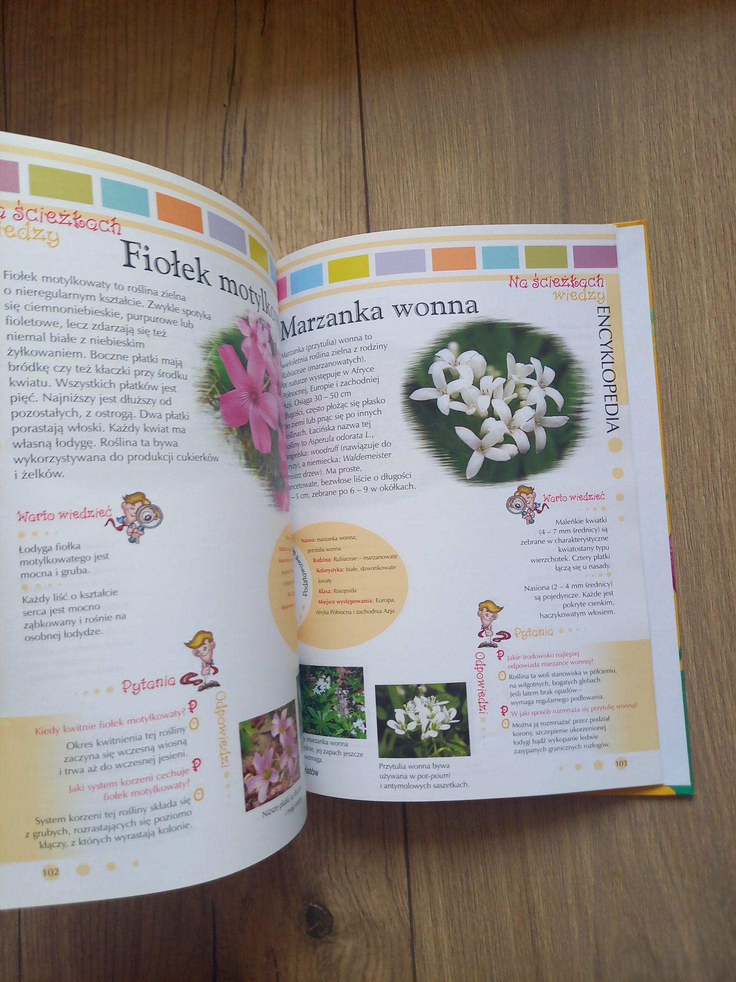 Encyklopedia 100 kwiatów