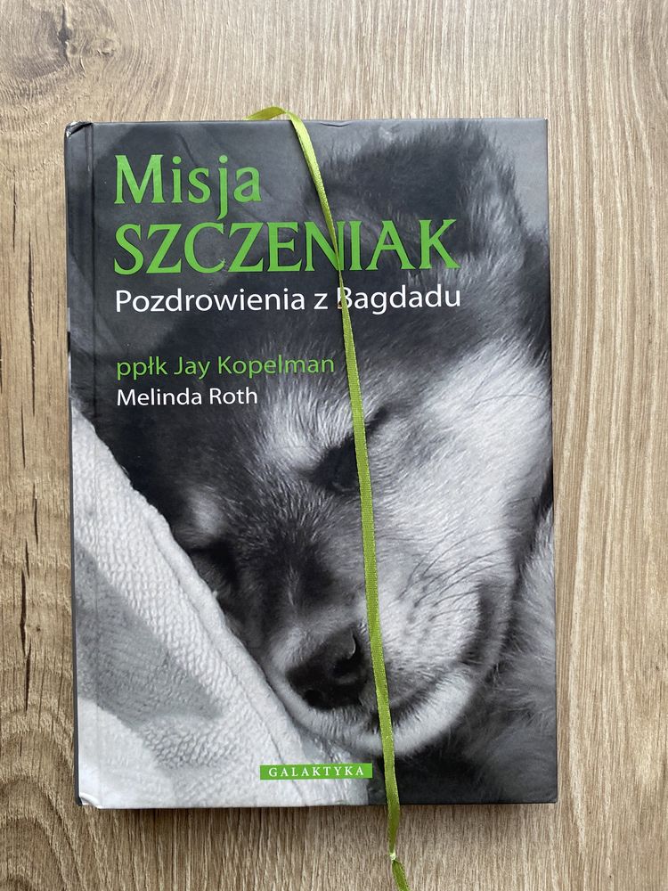 Misja szczeniak. Pozdrowienia z Bagdadu.