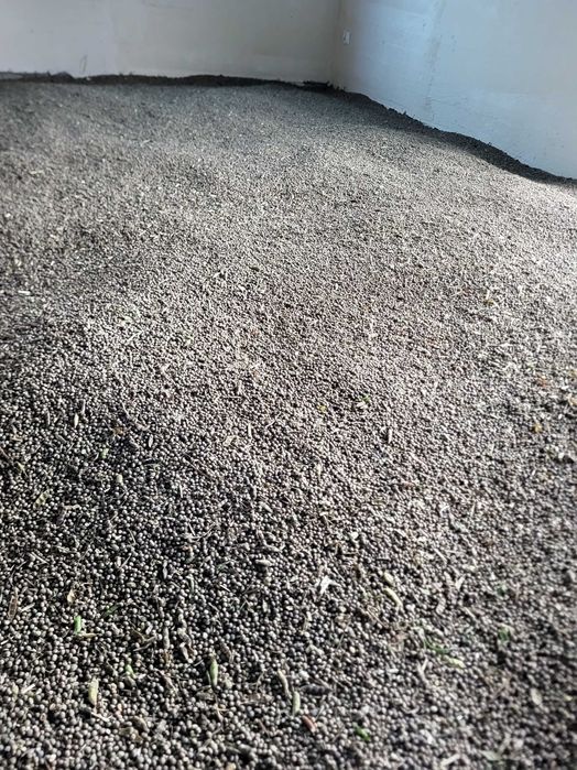 ŁUBIN , gorzki na poplon  (2025)