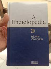 Enciclopédia público