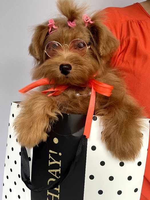 Всього 3 Чарівні Помапу