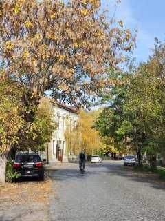 Півбудинка з окремою ділянкою і двором в центрі міста