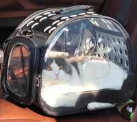 Прозрачная сумка для котов переноска