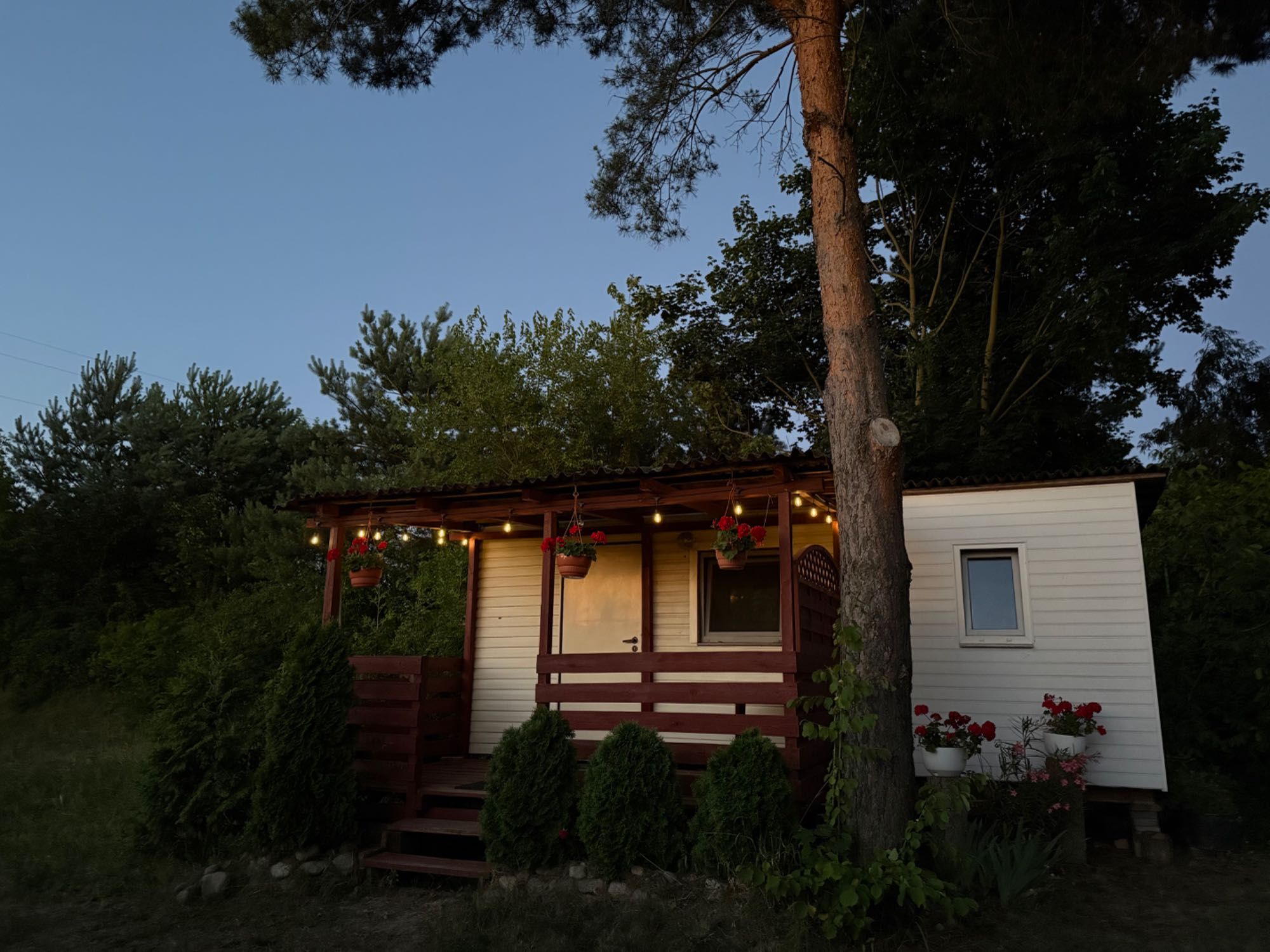 Domki do wynajęcia – Boszkowo-Letnisko źródełko św. Jadwigi