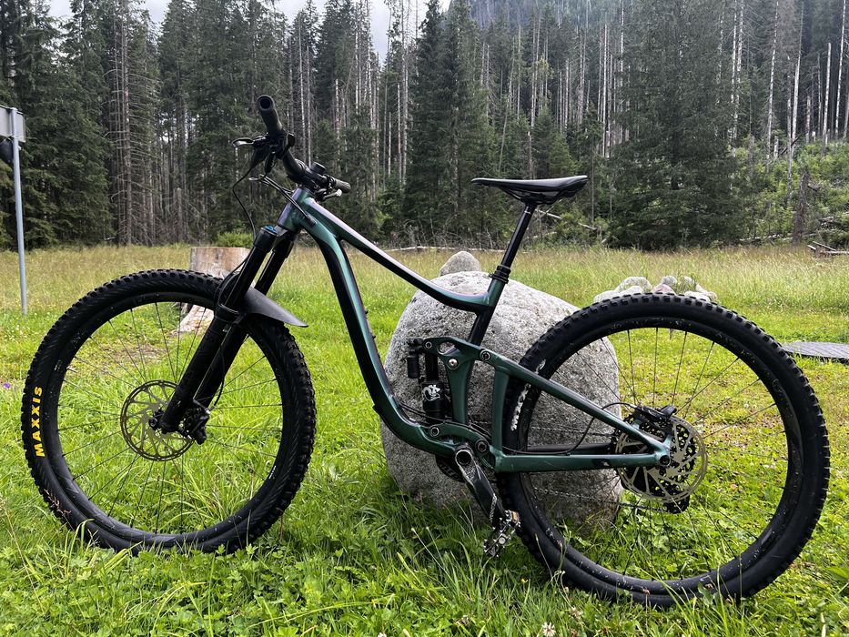 Giant Reign 29 1 roz. S 2020