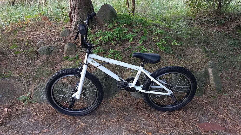 Rower Młodzieżowy Bmx Fishbone P1000 do Skakania Rotor 360 4 Pegi 20