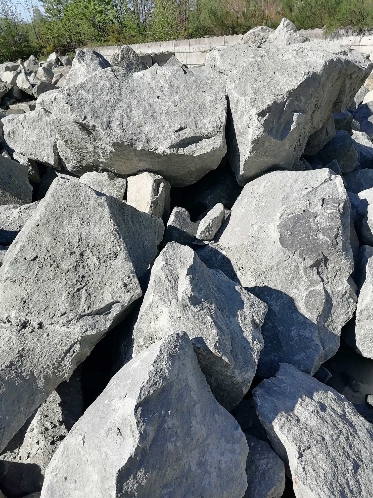 Kamień ogrodowy ozdobny naturalny  głazy