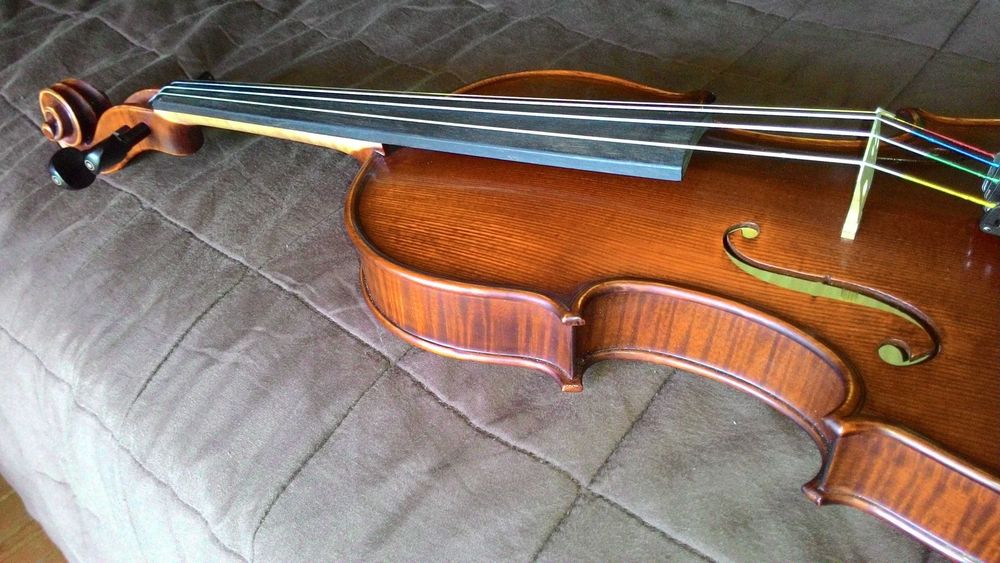 Violino Gliga Gama II 4/4 Novo