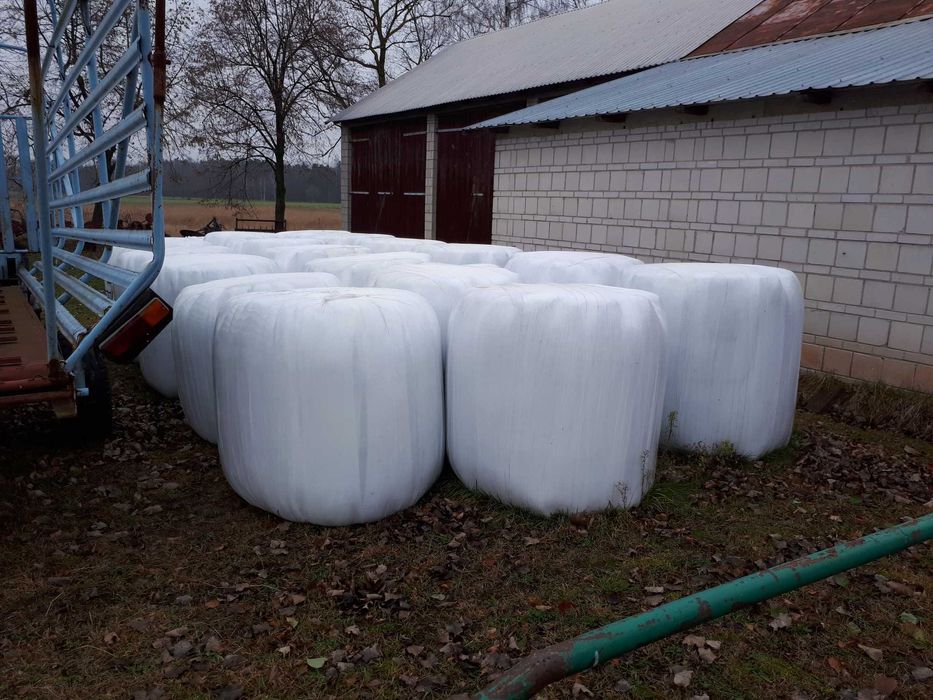 sianokiszonka z młodej trawy, z łąk polnych -21 bel, siano , słoma