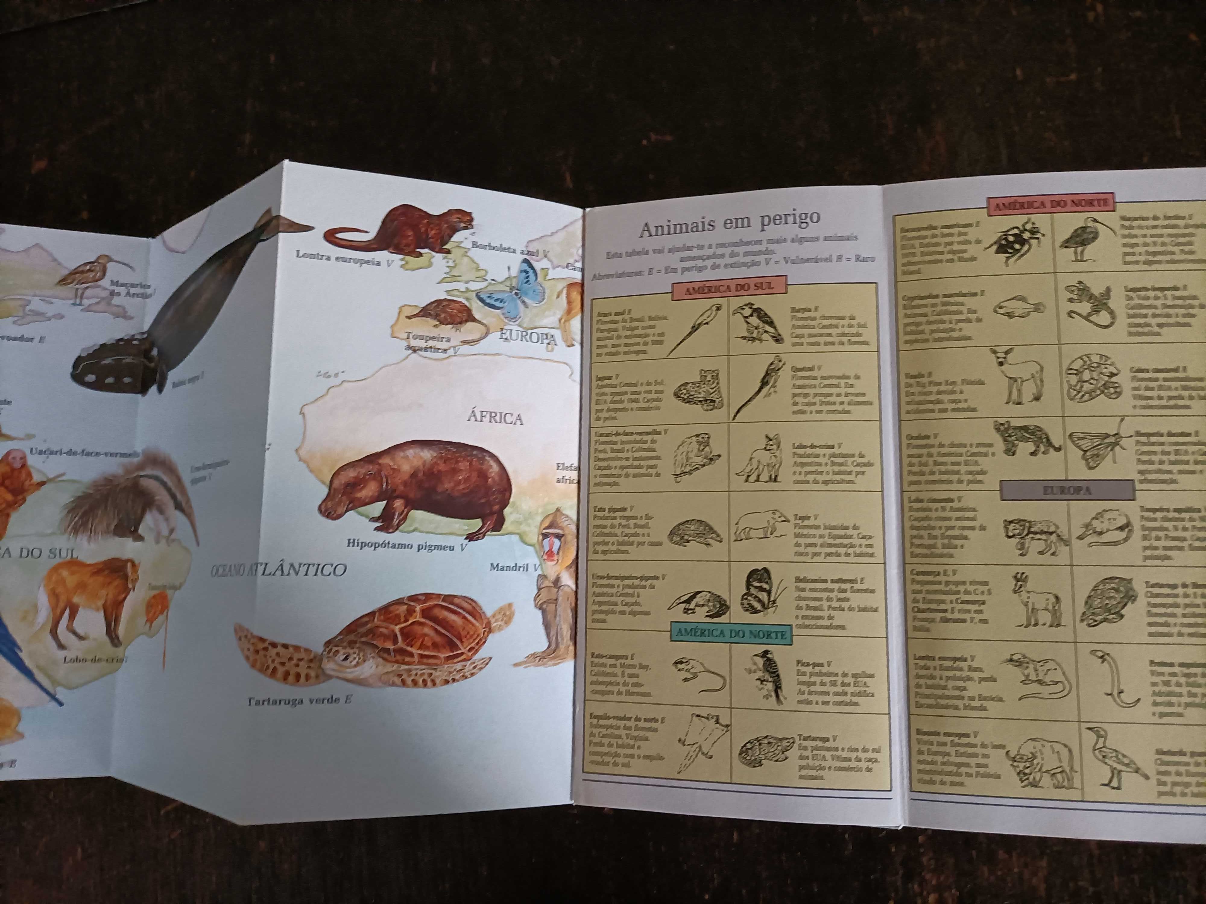 "Portugal Animal", Clara P. Correia/ "Animais em Perigo"