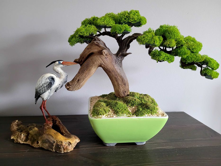 drzewko bonsai -  mech chrobotek