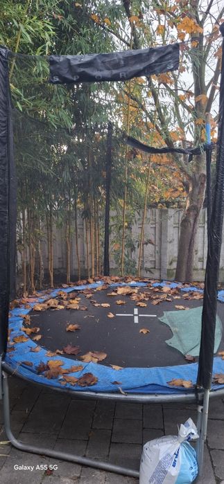 Oddam za darmo trampoline