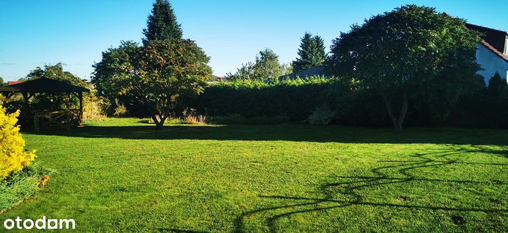 Dom z garażem i poddaszem + drugi garaż z pomieszczeniem gospodarczym