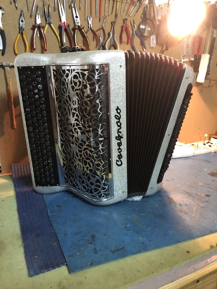 Acordeon Cavagnolo Super Vedeta 10