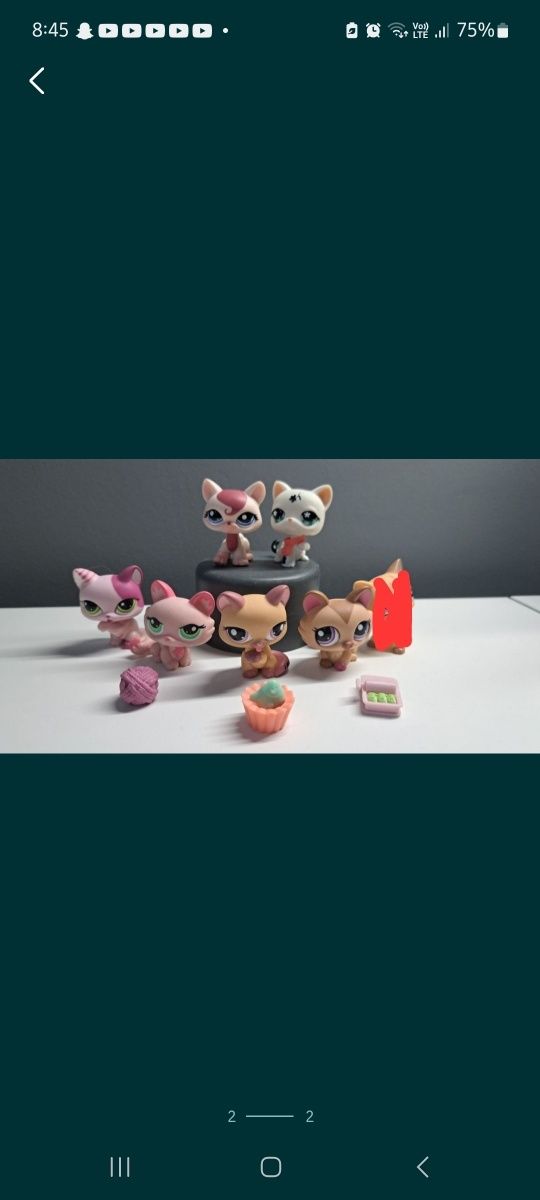 Littlest Pet Shop