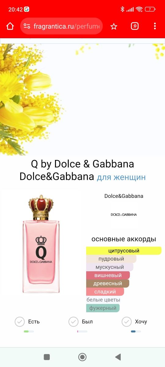 Dolce & Gabbana Q by Dolce & Gabbana